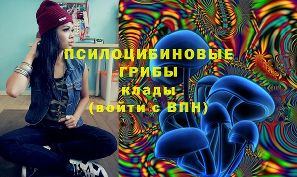 метадон Алзамай
