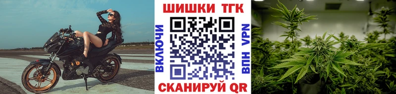 мориарти телеграм  Дубна  Конопля ГИДРОПОН 